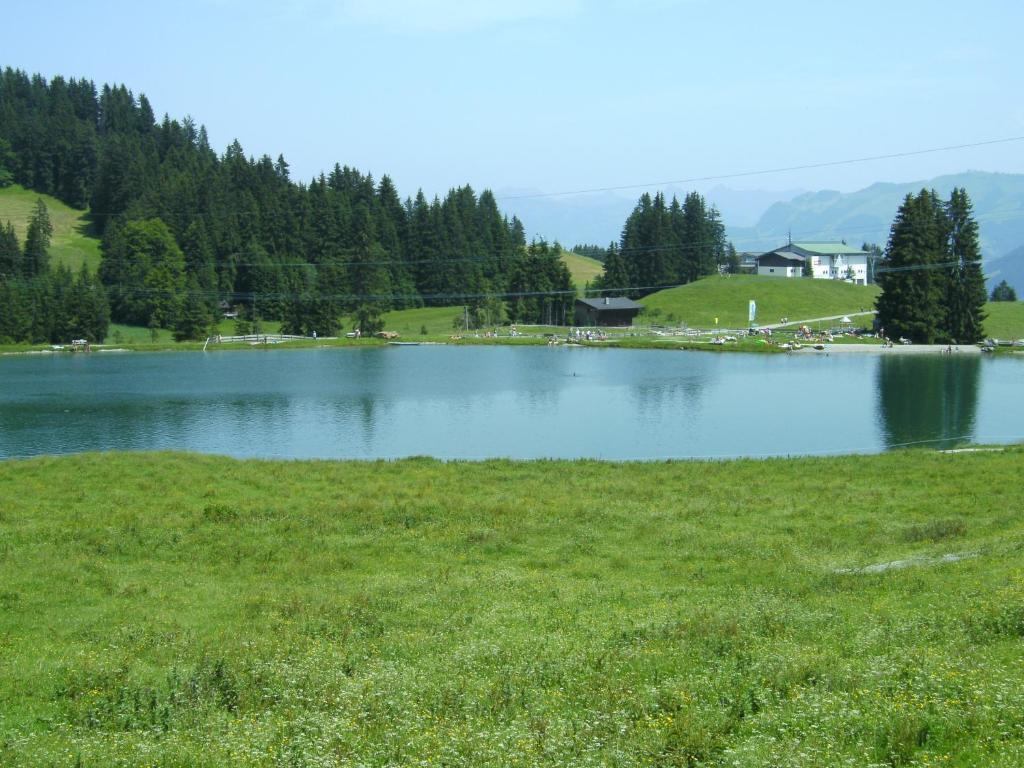 Bauernhof Hundbichl Villa Brixen im Thale Ngoại thất bức ảnh